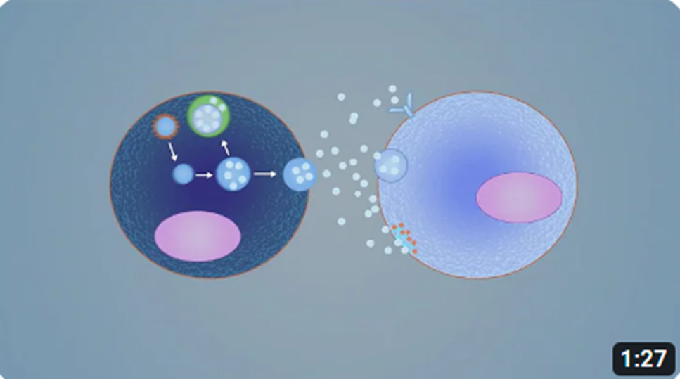Is Exosome Injection Right for You?