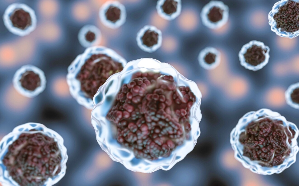 Stem Cell Exosomes