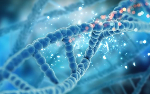 DNA